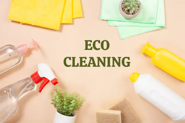 Eco-friendly Recurring Cleaning